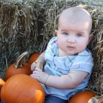 Holly enjoyed looking at the pumpkins when she wasn't looking at the camera.