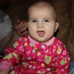 Holly sitting like a big girl on the couch!